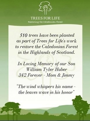 510 Trees for William in the Scottish Highlands!