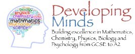 Developing Minds Logo