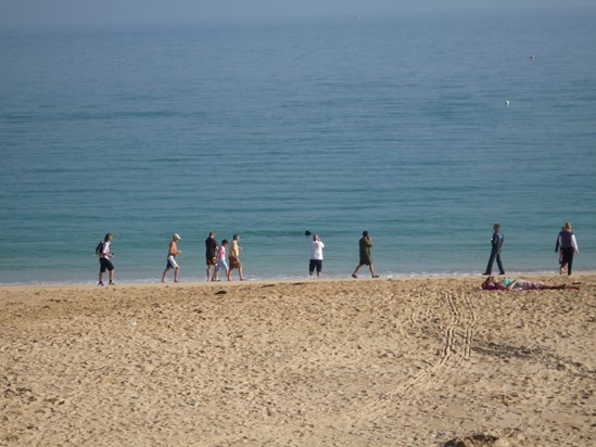 Famous basking shark incident Sept 2008