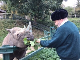 Feeding Rosie the Rhino 