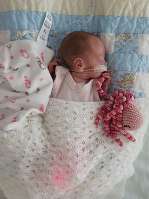 7th March 2018.  Lara sleeping with her octopal, Penelope.  The only time she was still!
