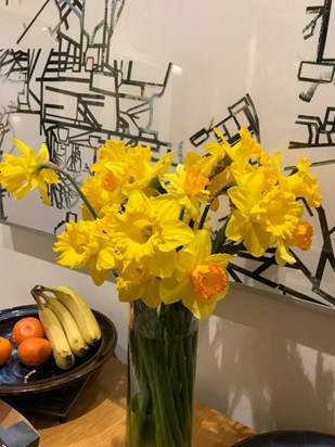 Daffodils picked for St David's day from our allotment planted by Siân