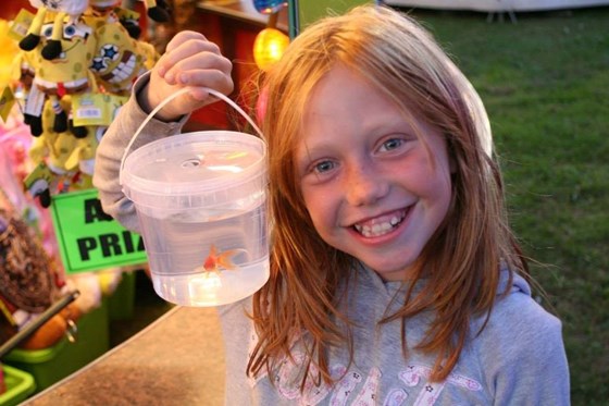 Summer with goldfish won at fair