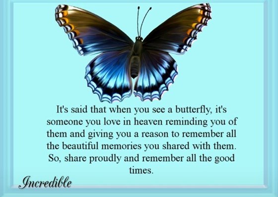 Whenever I see a butterfly I always think of you beautiful Shelby xx