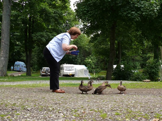 Mum feeding the ducks.