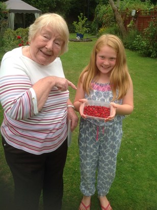 Hatfield Raspberry picking