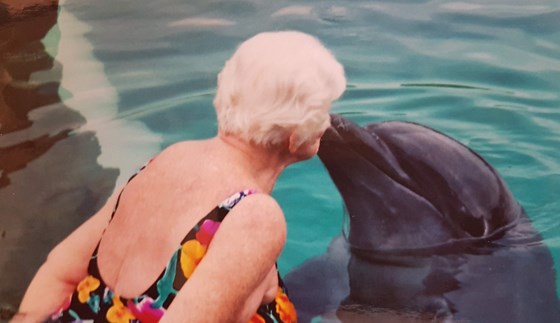 Mum Kissing A Dolphin in Mexico