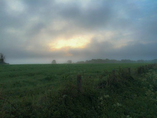 Sunrise, an early misty morning. 11 May 2015