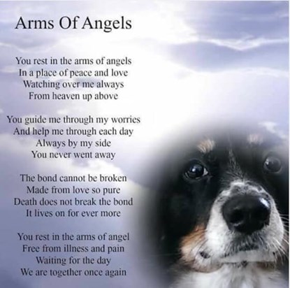 Arms of the Angels 