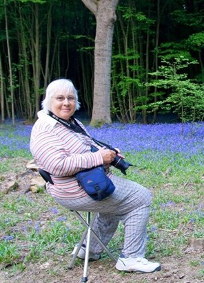 In the bluebell woods April 2011