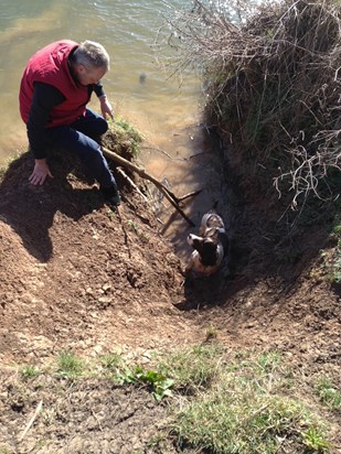 Luckily there is no sound on this photo.  "Shirleys" dog Monty,  who used to growl at Andrew and steal his side of the bed, kindly getting himself stuck along the Greenway In Stratford.  