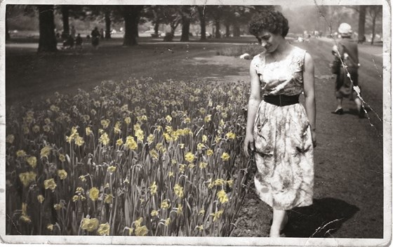 Yiayia and the Yellow Daffodils 