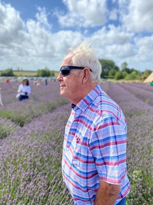 Terry Lavender Field