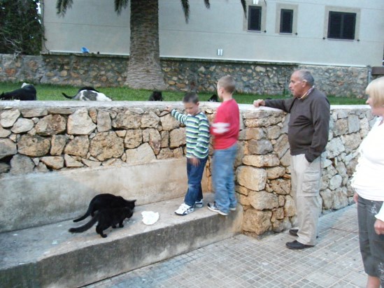 2009 Majorca cats
