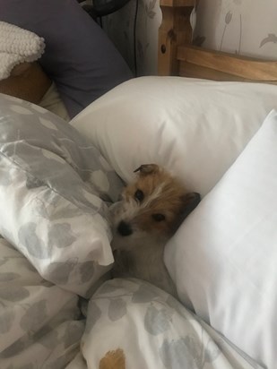 Tilly pinching your side of the bed 