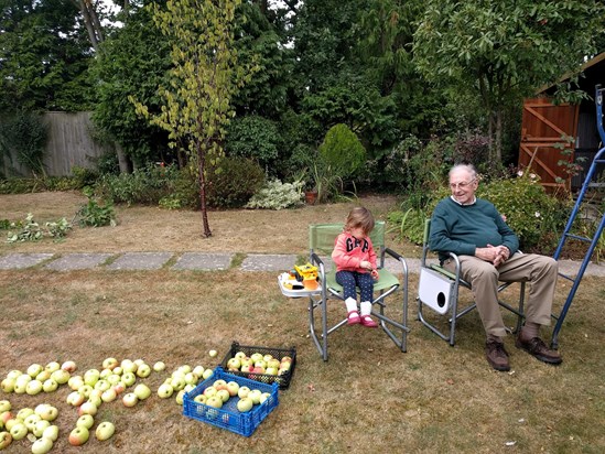 Dad and Sula apple-picking, 2016
