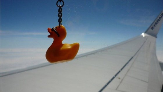 the duck ash took everywhere with him on his travels!