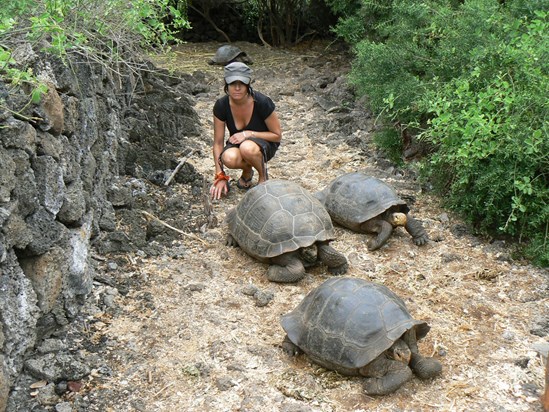 Galapagos Islands