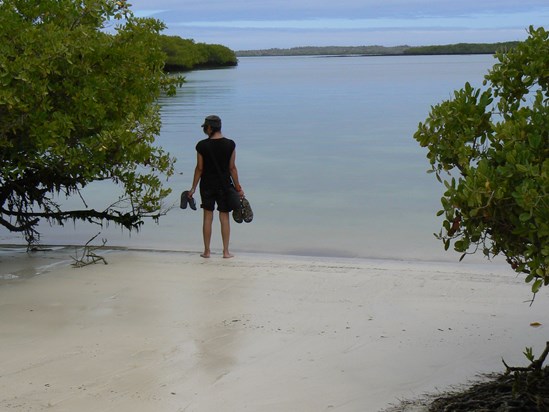 Galapagos Islands