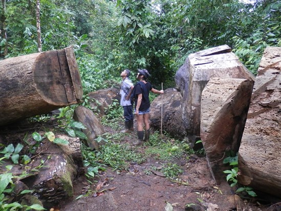 Nicaragua