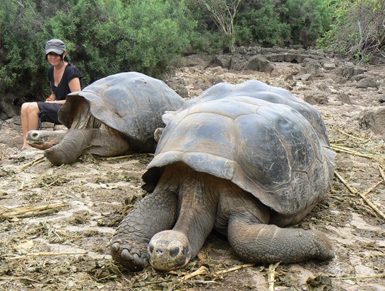 Galapagos Islands