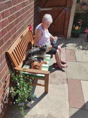 Mum and your babies on your bench pa ....xxxxxxx 💕💕💕💕💕💕💕💕😘IMG 20220421 142830