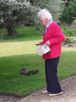 Feeding the ducks at Fern Cottage