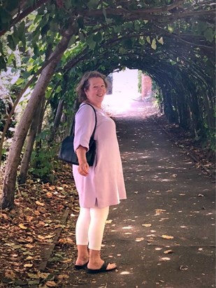 Leslie Tree lined arch Christchurch 2/08/2018