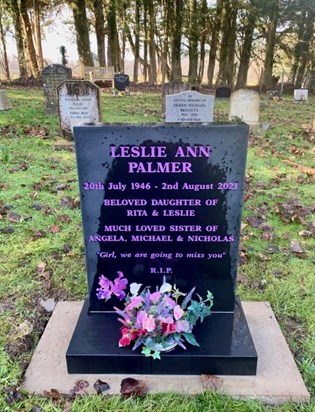 Leslie's Stone