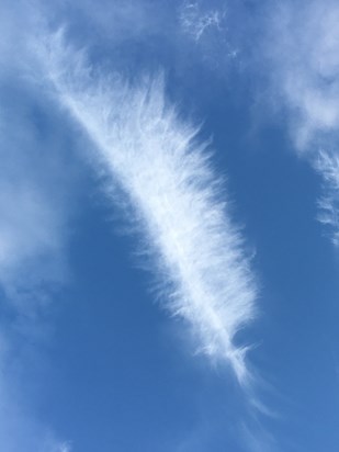 i looked up to the sky and saw a feather  it from youI would  it was a special one. from you 