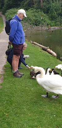 Me and dad feeding the ducks at Pattinson pond