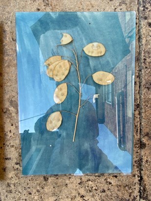 A cyanotype developing in the sun