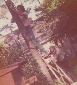 Send the lad up to cut down the 100ft pine tree!  Dad holds the ladder!