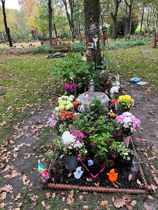 Halloween at the woodlands - Shans plot. Love & miss you always ❤️