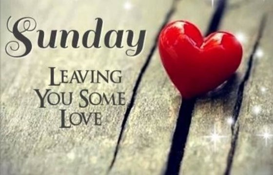 Sunday Love and Blessings Nicola 🌺❤ xx