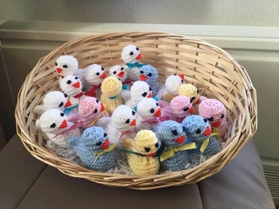 Just a few of the knitted chicks mum knitted for charity, so proud x