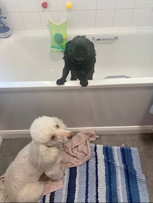 Bath time 