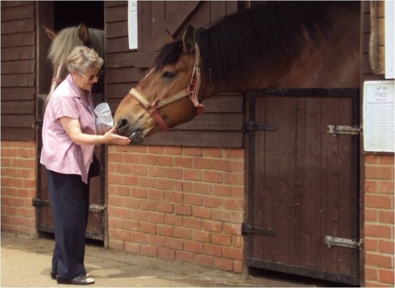 Maureen loved horses, any chance to interact with one was taken.
