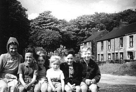 Cousins.   Valerie, Sue, George, William, Malcolm, and Allan on Hessle Cliffe