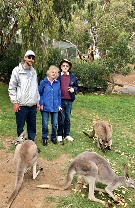 Checking out the locals in Australia 