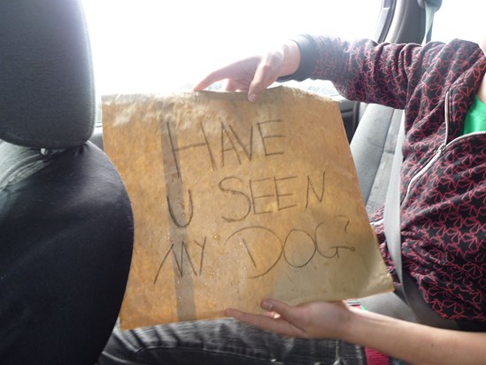 Traffic Jam in Wellington, Sams sister makes a "have you seen my dog" sign