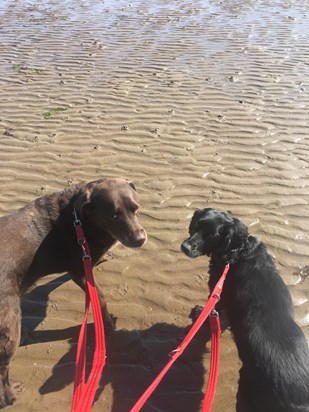 With Molly at Runswick, 2020