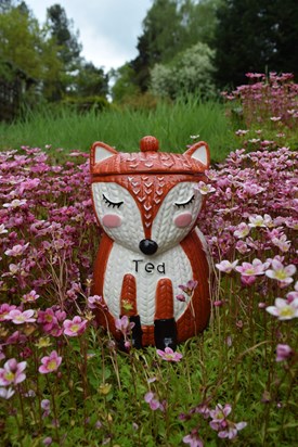  Ted Tea Caddy!! Found at Asda. Isnt he lovely just like our dad, Ted!