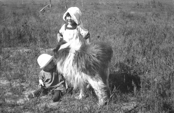 Dick and Laura with Collie dog on South Dakota Homestead Year 1925