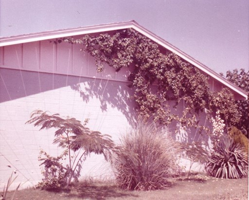 1444 Royal Palm home--picture taken May 1965--had fenced pool in backyard & pigeon coop