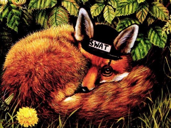 Sly fox artwork by Doug original artwork sent to Peter Sorensen as a gift from Doug