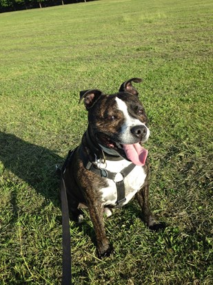 Happy boy enjoying the park x