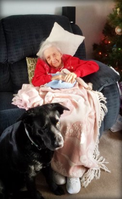 nammy with our dog, Mandy - her last Christmas- 2016