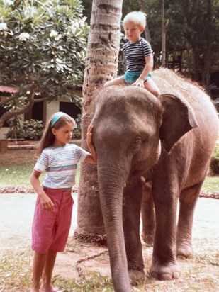 Our friend the baby elephant we met on holiday in Thailand 