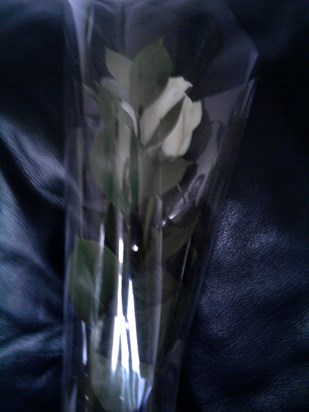 2 white roses for mommy and daddy to lay on last bed